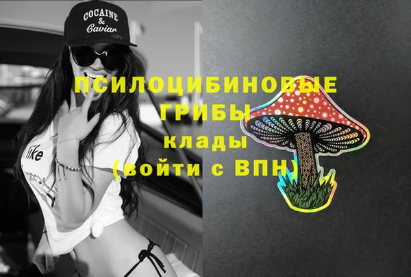 ECSTASY Арсеньев
