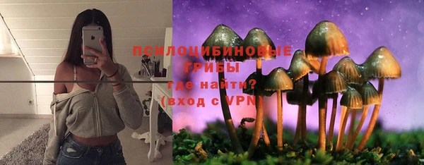 MESCALINE Аркадак