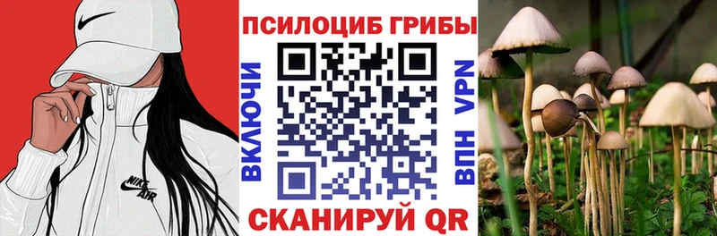 Псилоцибиновые грибы Psilocybine cubensis  Гаджиево 