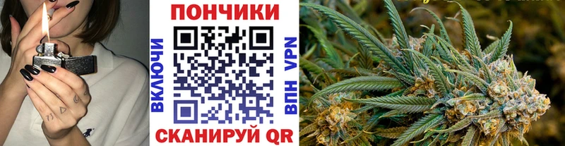 Шишки марихуана SATIVA & INDICA  гидра как зайти  Гаджиево 